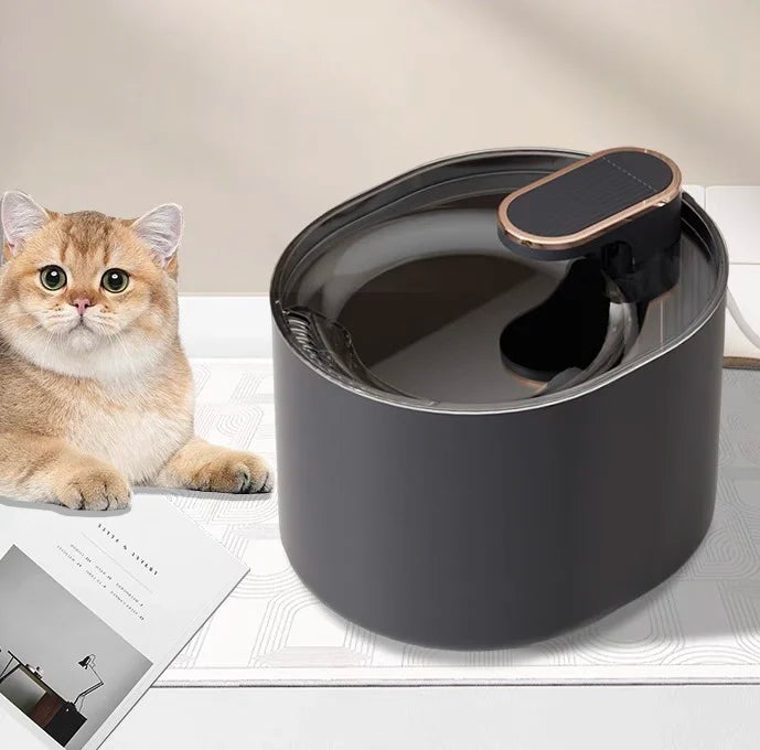 3L Pet water dispenser